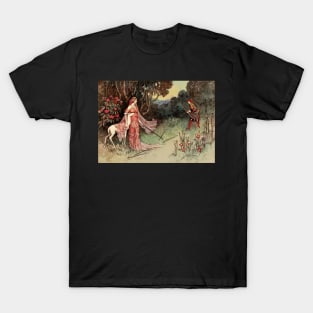 The Hunter and the Deer T-Shirt